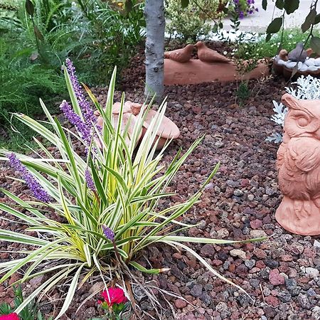 Nel Giardino Di Dafne Villa Stresa Luaran gambar