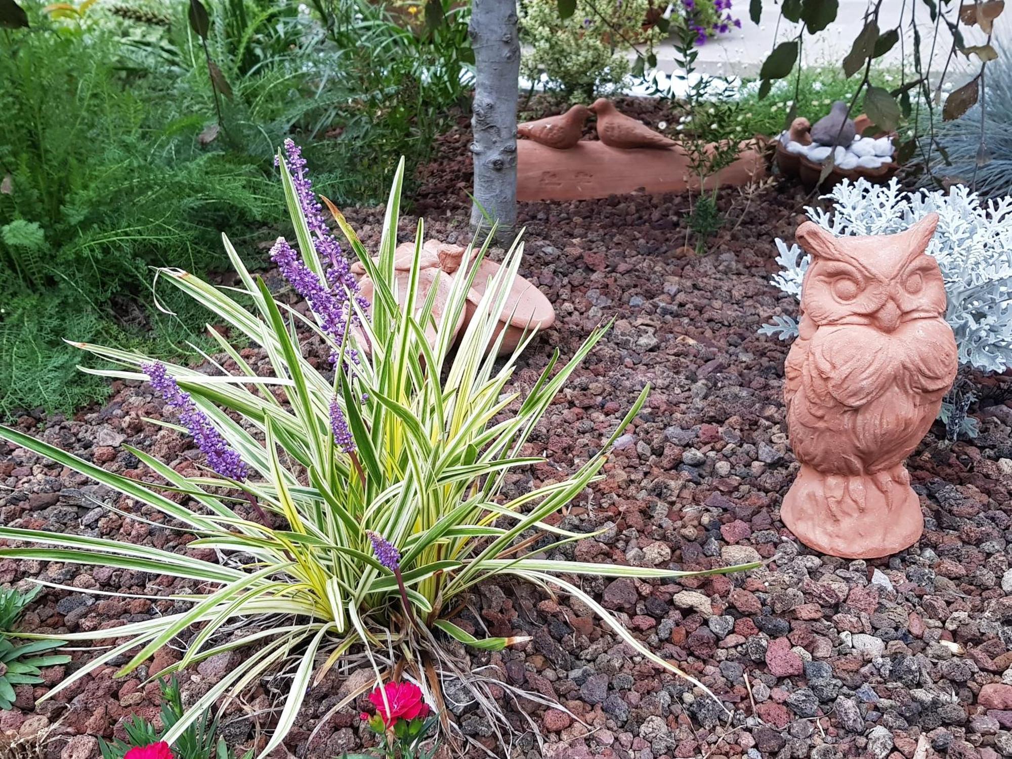 Nel Giardino Di Dafne Villa Stresa Luaran gambar